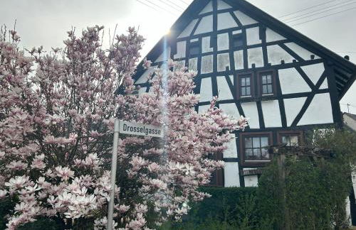 Das Pautzen Haus - Foto 2