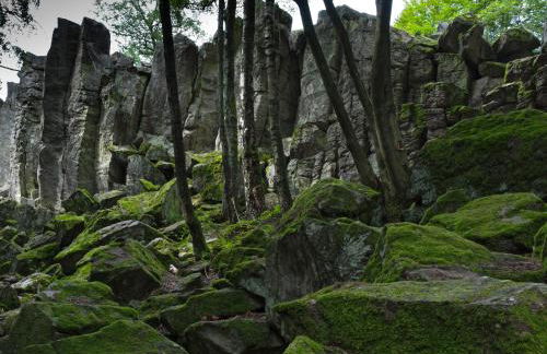 Ferienhaus Bärenloch - Foto 25