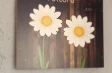 Hospedaria Recanto das Flores, perto Thermas - Foto 44