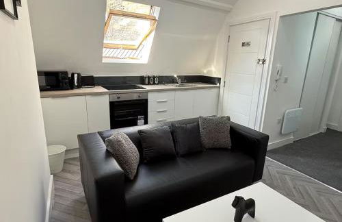 9 Mill Lane, Cardiff - PRIME CITY CENTRE - Foto 60