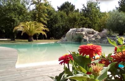 Domaine D'Erras -colibri - - Foto 12