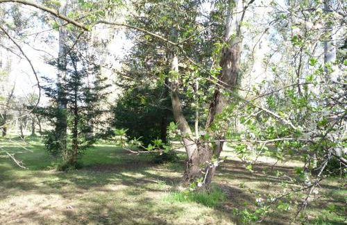 Agriturismo La Giannottola - Foto 52