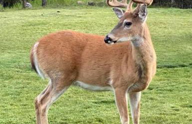 Hot Tub-Awesome View-Secluded Apartment - Foto 33