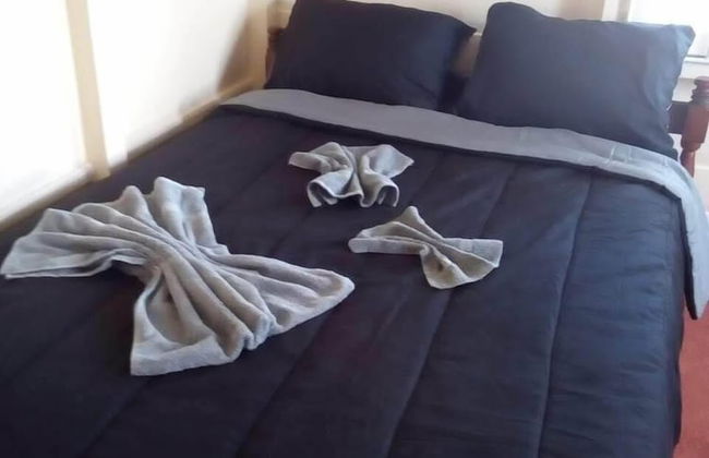 Max Garden and Pool - Photo 8