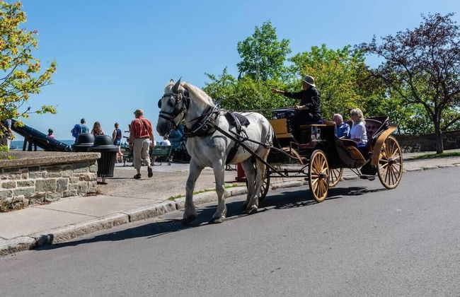 Modern Meets Rustic - 2 Bdrm Old Quebec - Photo 20