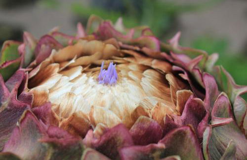 Dromore House Historic Country house - Foto 57