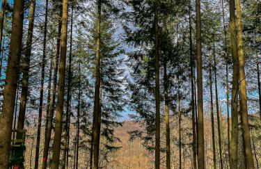 Ferienhaus am Wald - Foto 32