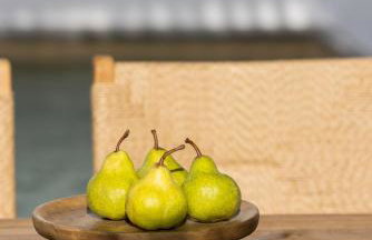 Solmar Suites - Foto 10