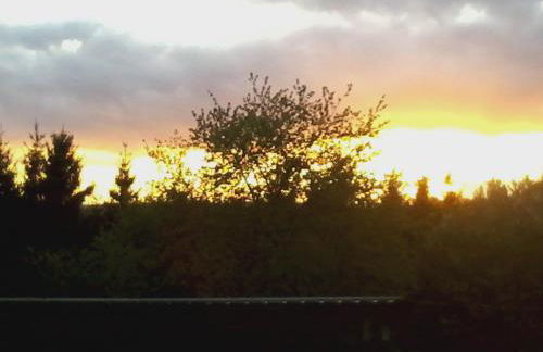 Funny-Farm - Foto 46