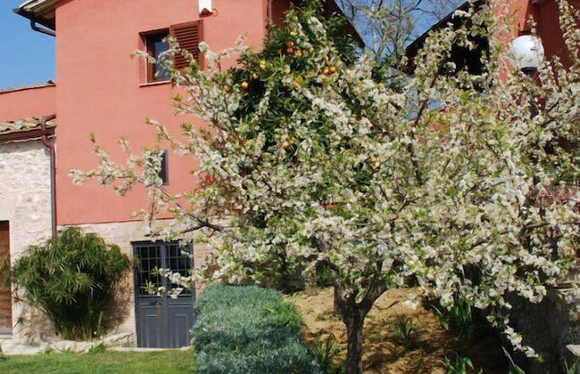 Tenuta San Savino delle Rocchette - Foto 76