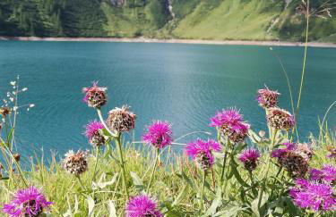 Il Giardino Segreto - Foto 39