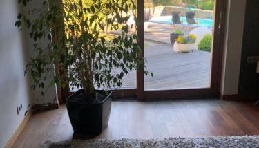 Apartament przy lesie - Foto 5, Garden, Garden view