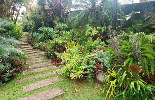 Refúgio dos pássaros - Foto 10