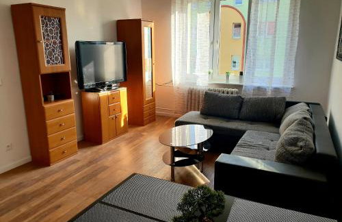 Apartament AltePost - Foto 11