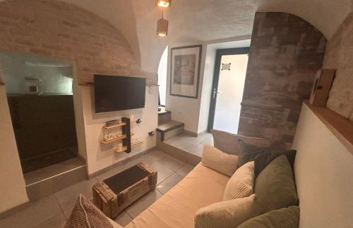 Magnolia duplex - Photo 14