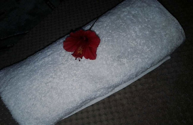 Gan Eden Guest Cottage - Foto 9