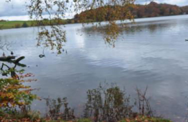 Tarnside Cottages - Foto 35