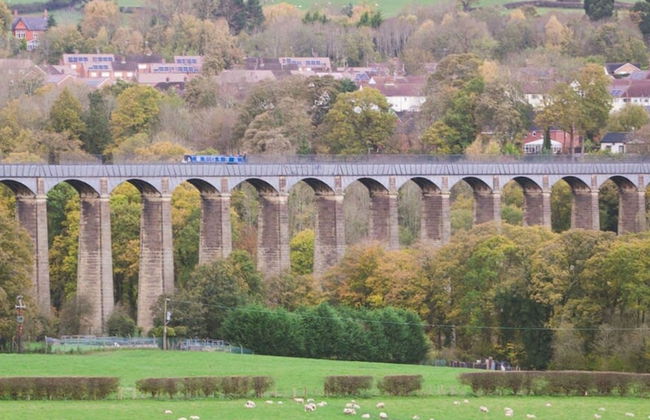 Wrexham Central Stay Apartment Seven - Photo 26