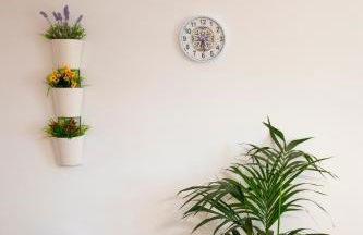 Chiocciola Apartment sul lungomare tremoli, parcheggio gratuito - Foto 6