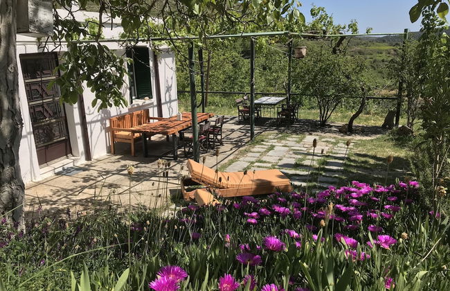 Temenia House - Foto 1