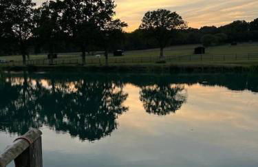 The Barn New Forest Free Paddle boarding & free Zip wire. - Foto 21