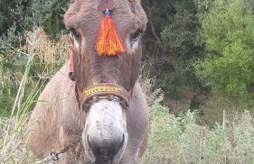 Les terrasseSSS de KASTOS - Foto 8