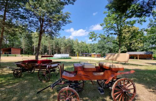 Domki Wrzosowe Wzgórza Nr2 - Foto 60