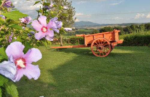 Farm stay Il Carro del Colle - Foto 26