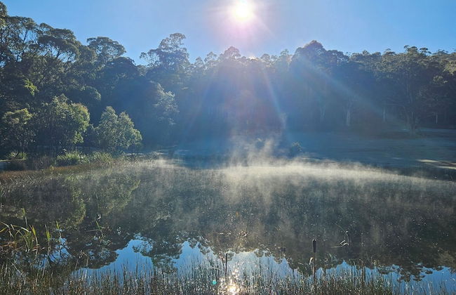 Craggy Peaks Wilderness Cabins - Foto 73
