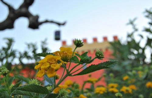 Agriturismo - "La Funicolare" - Photo 20