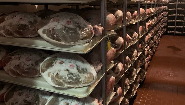 Food Valley : Excursión de un día a Parmesano, Prosciutto, Balsámico,Vino,Ferrari - Foto 4