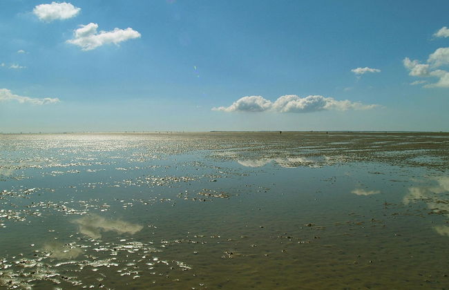 Apartment House, Wyk auf Foehr - Foto 56