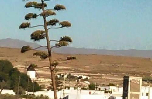 Casa Rural El Jazminero - Foto 14