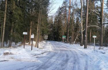 Apartament Przy Puszczy Białowieskiej - Foto 12