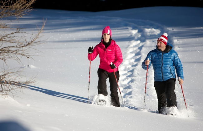 Apartment in Rennweg Near Katschberg Ski Area - Foto 24