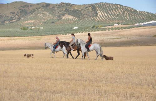 Finca Los Jacaros - Foto 54