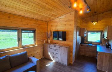 Domki Pod Olchowym Dachem Lubie - Foto 27