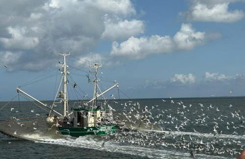 Urlaub beim Käptn! Freistehendes Premium Nordsee-Ferienhaus mit Fahrrädern, Stellplatz und Garten, 150m zur Nordsee - Foto 35
