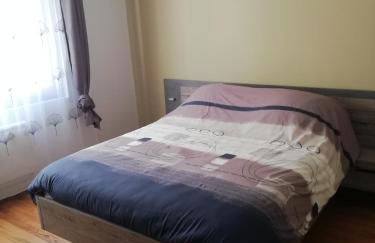 La Citadine maison de ville avec garage - Foto 11