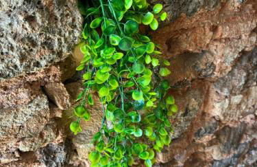 Duomo View Apartment - Photo 45