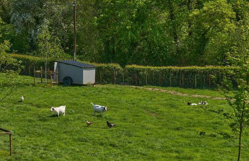 Holly Lodge - Foto 35