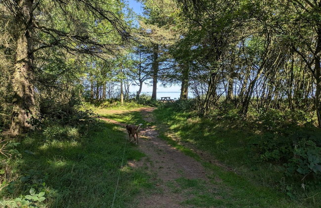 6 Person Holiday Home in Ulfborg - Photo 14