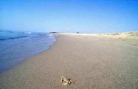 Luxury Affitti brevi - Foto 33