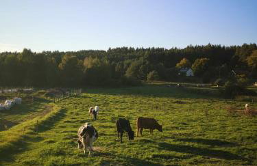 Ferienhaus Marianna am See - free Sauna, Ruderboot, Kajak & WLAN - Photo 53