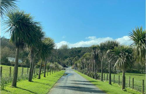 The Wee Sprout - Foto 26