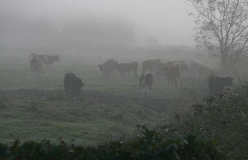 Poppenbull Thatched House - Foto 58