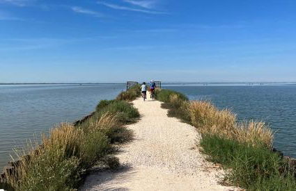 Delphina House - Foto 35