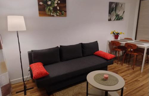 Apartament Gardena Olsztyn - Foto 2