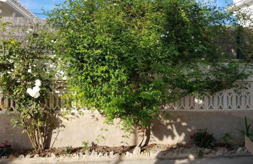 Exclusive Apartment - Playa de Marenys de Rafalcaid - Photo 60