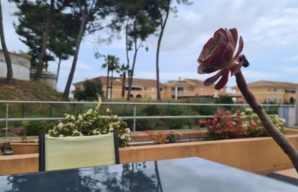 Coin de paradis, piscine, parking, terrasse - Foto 10